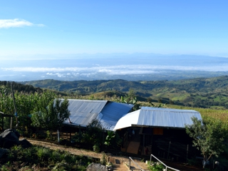 Panor&aacute;mica